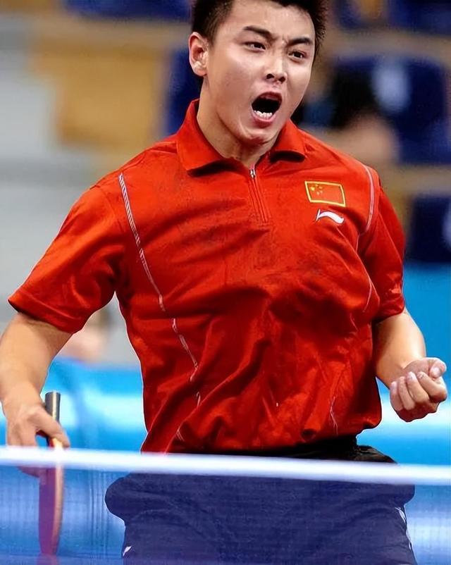 比利时乒乓球队绝地反击波兰乒乓球队，王皓高光表现的简单介绍