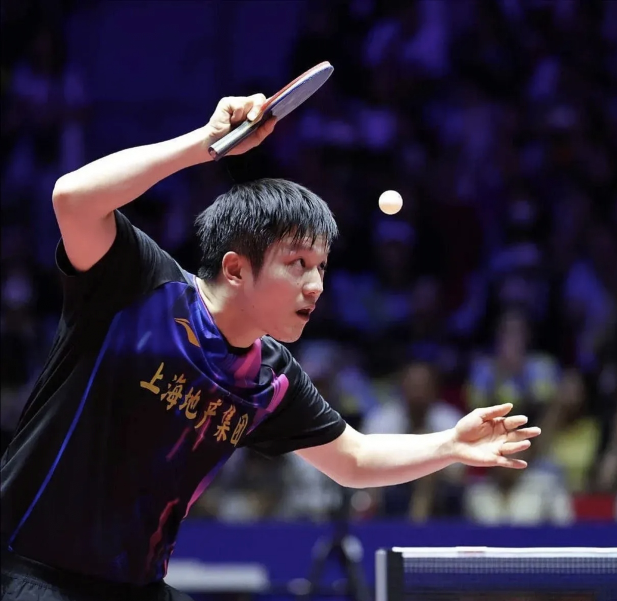 关于葡萄牙队完胜法国队，樊振东刷新纪录的信息